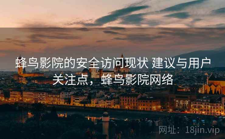 蜂鸟影院的安全访问现状 建议与用户关注点，蜂鸟影院网络
