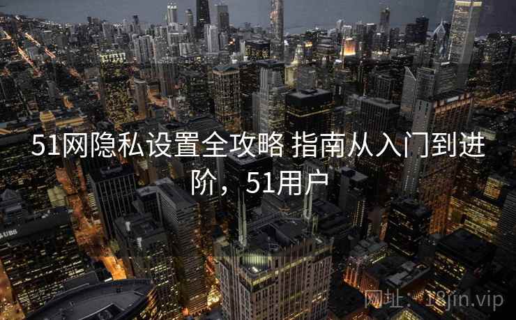 51网隐私设置全攻略 指南从入门到进阶，51用户