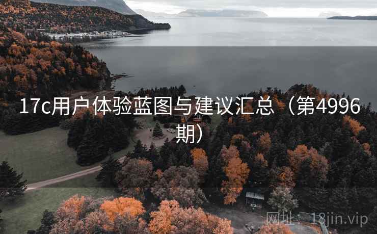 17c用户体验蓝图与建议汇总（第4996期）