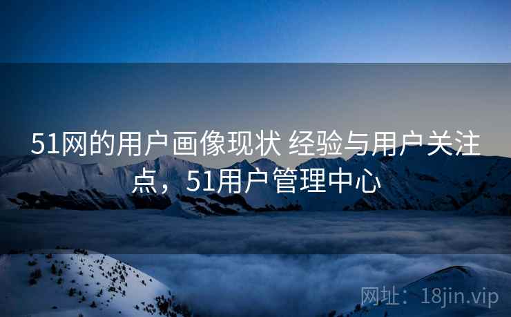 51网的用户画像现状 经验与用户关注点，51用户管理中心