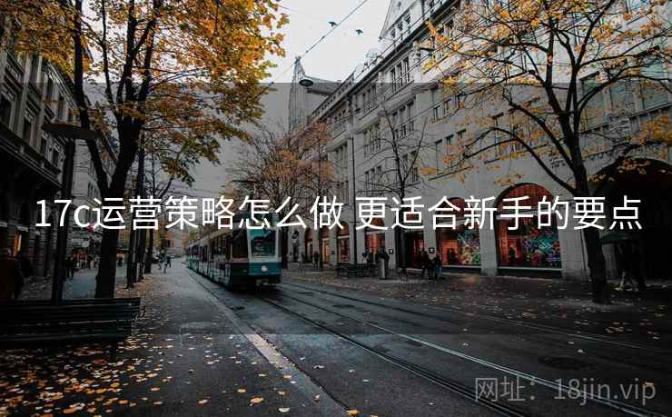 17c运营策略怎么做 更适合新手的要点