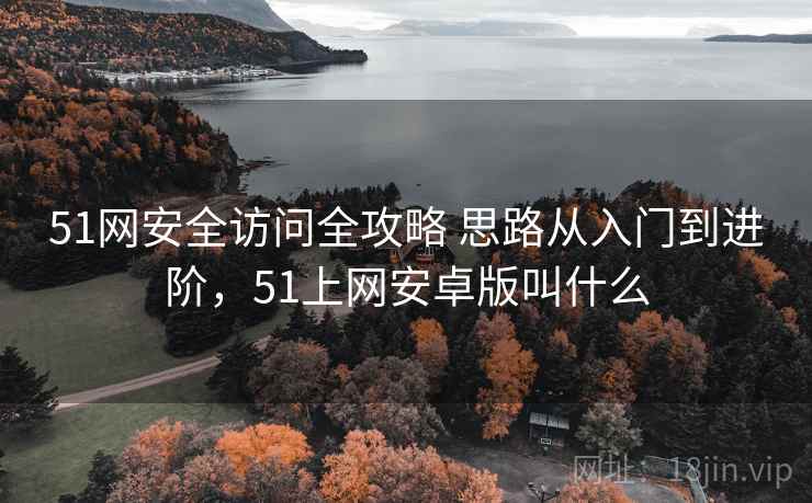51网安全访问全攻略 思路从入门到进阶，51上网安卓版叫什么