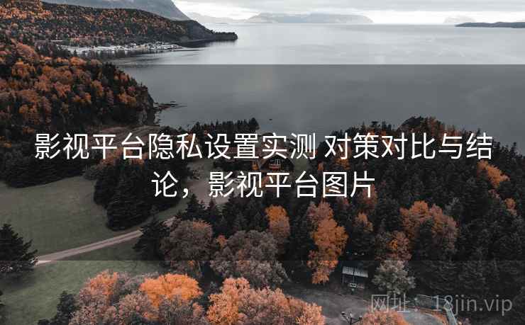 影视平台隐私设置实测 对策对比与结论，影视平台图片
